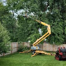 Best Tree Mulching  in Edwardsville, KS