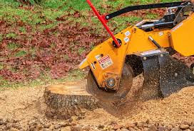  Edwardsville, KS Tree Removal Pros