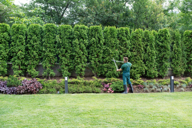 Best Lawn Mowing  in Edwardsville, KS